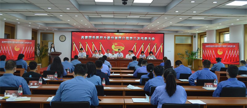樂凱膠片召開共青團(tuán)第三次代表大會